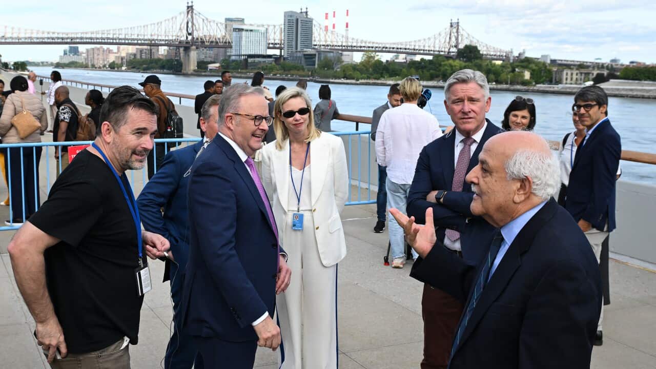ANTHONY ALBANESE UNITED NATIONS