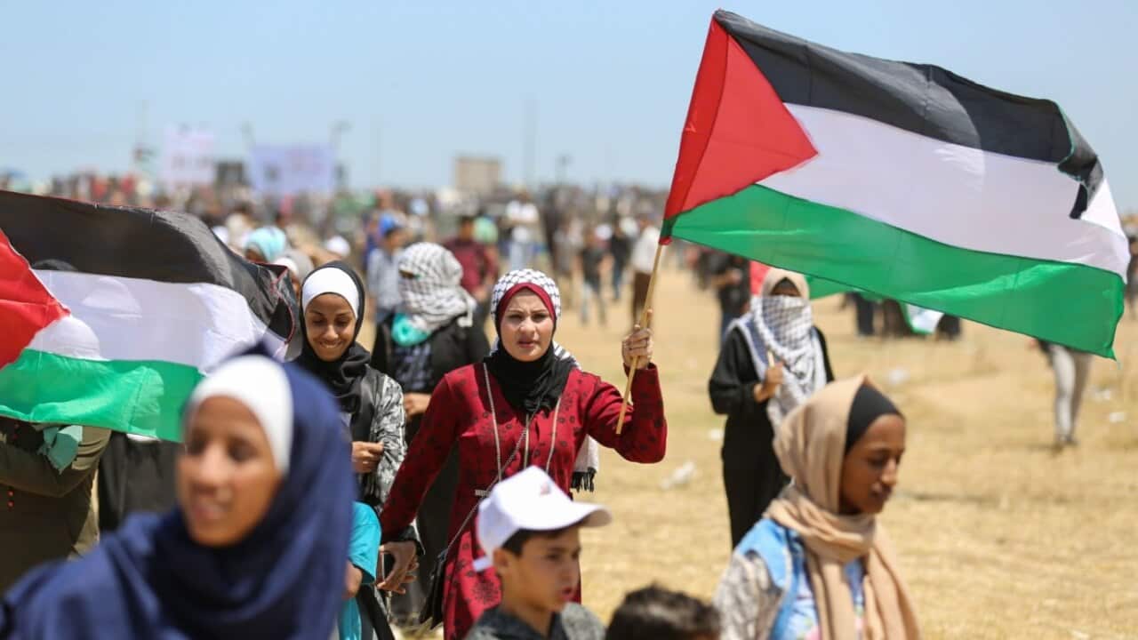 Palestinian Territories: Palestinians protest social security law