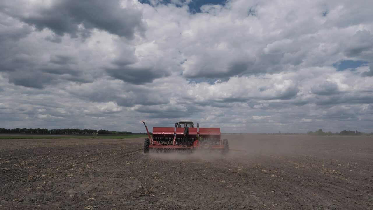 A soybean farm in eastern Kyiv, Ukraine