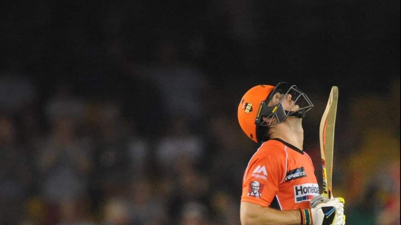 Mitch Marsh of the Perth Scorchers looks up after getting himself out.