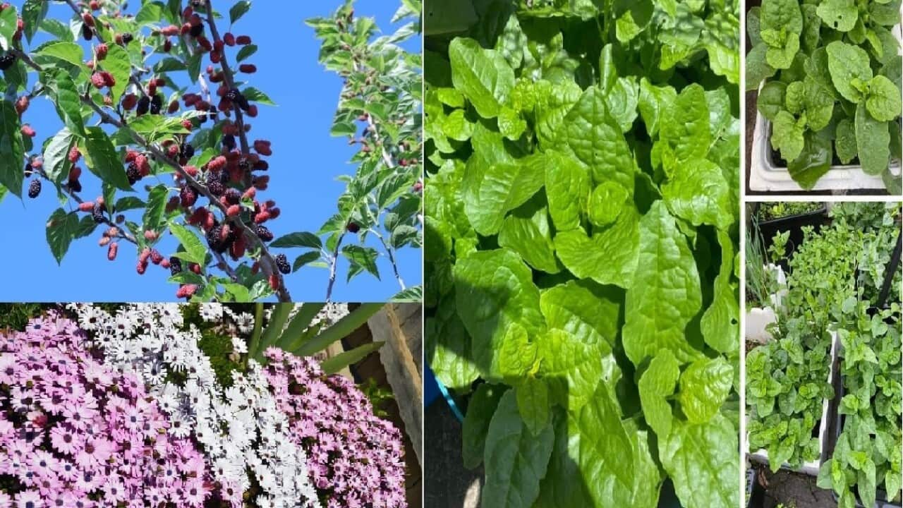 Image for read more article 'Đọc thêm'