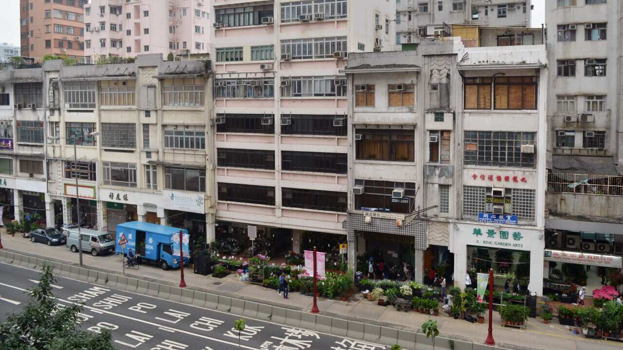 This picture shows buildings in Mong Kok Flower Market (except the pink one in the middle) on Prince Edward Road West where the Urban Redevelopment Authority has a plan to revitalise it. 04APR13