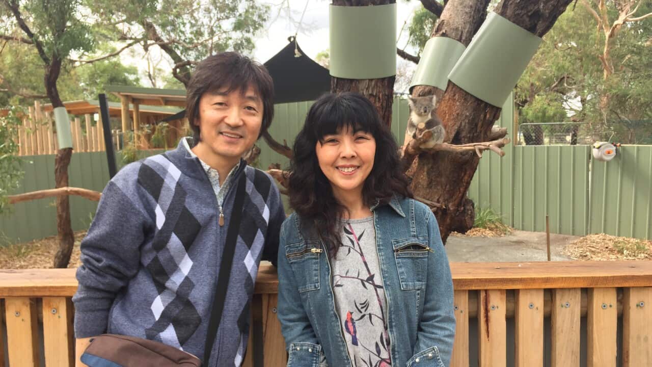 Image for read more article ''