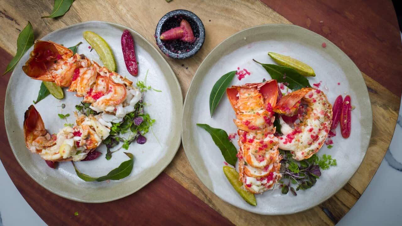 Grilled lobster tails with soft herbs and finger lime pearls