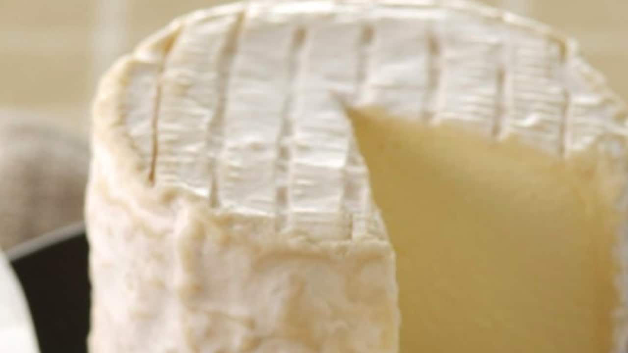 Le Bon Fromage 2019 festival