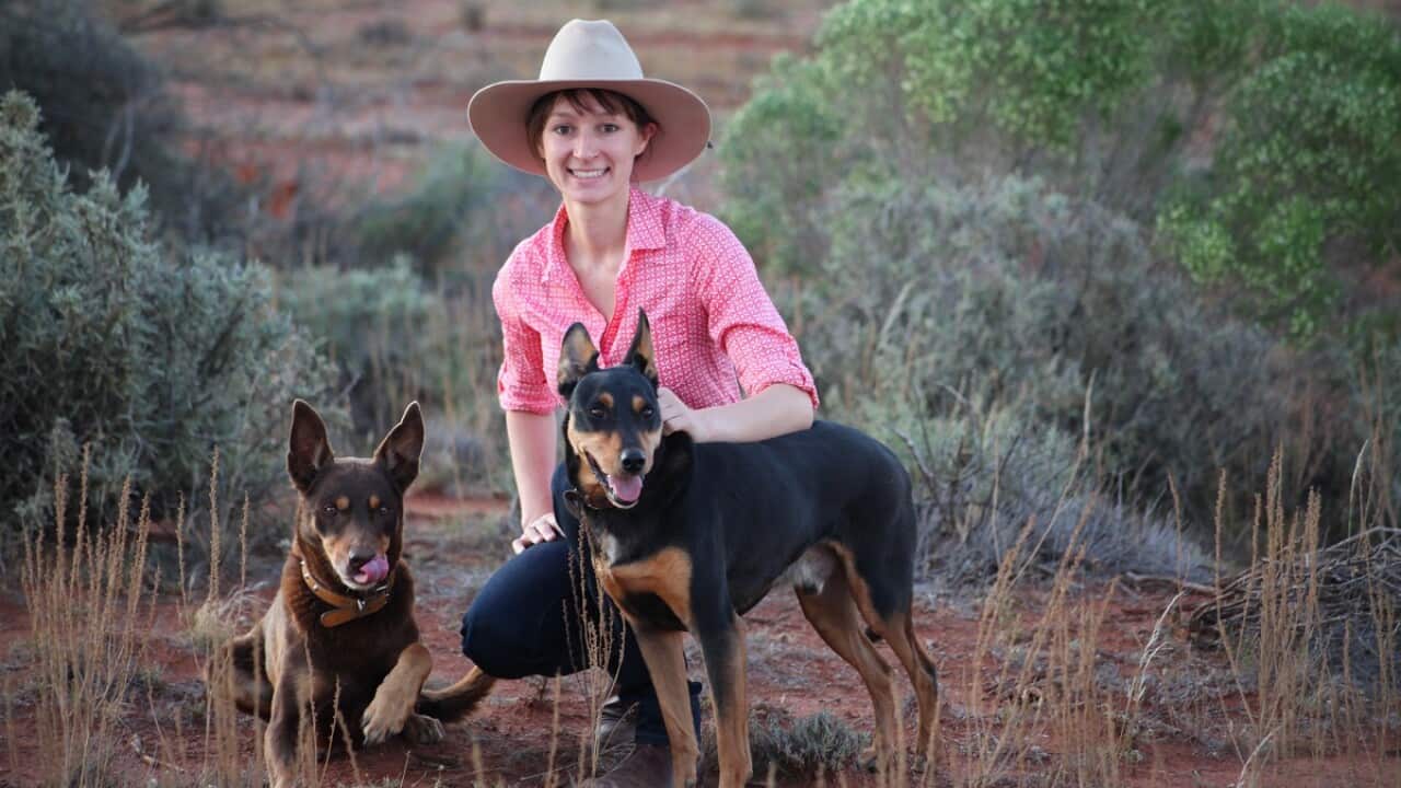 Anika Molesworth's family runs a 10,000 acre sheep station in Broken Hill in far west NSW. 