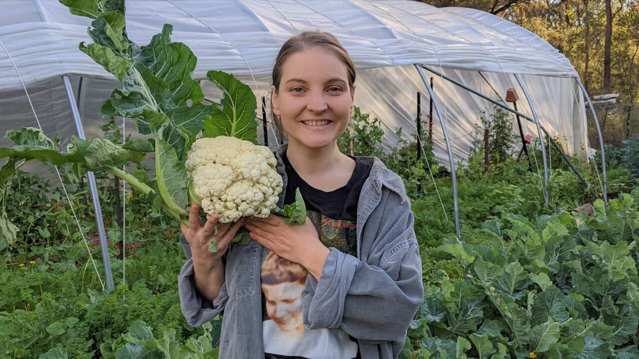 Image for read more article 'READ MORE'