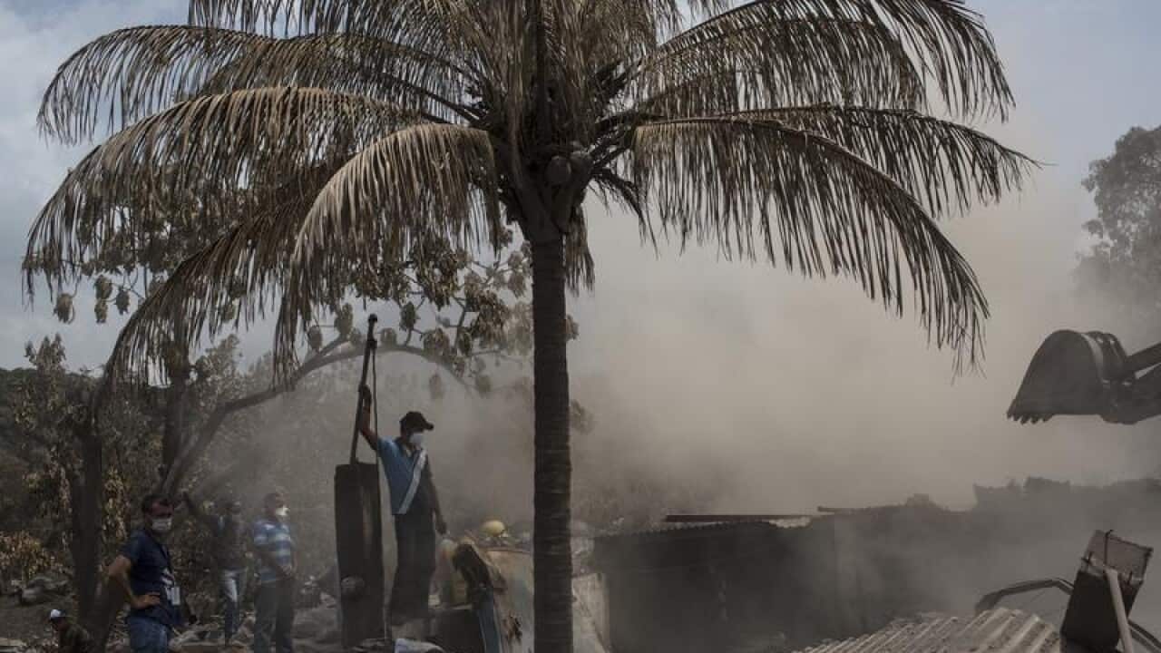 Survivor volunteers search for their missing family members