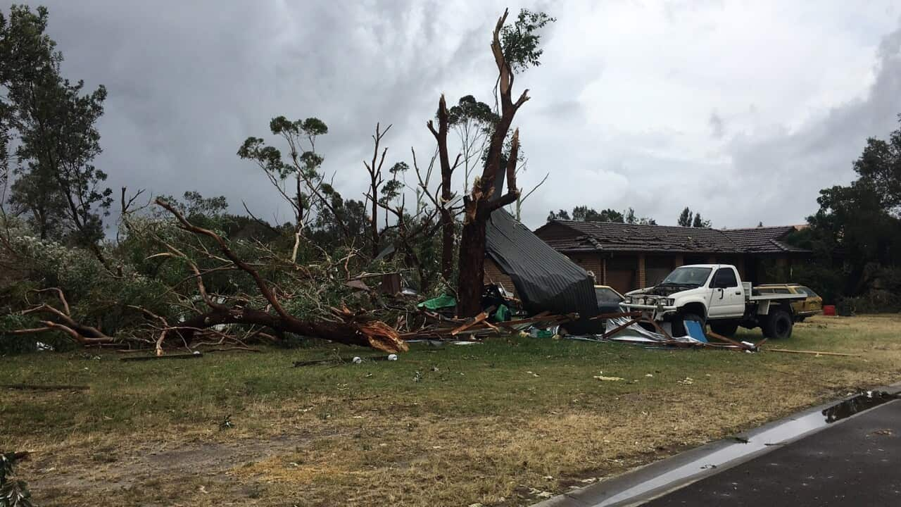 Westfield Bondi Junction roof collapses as powerful storm smashes