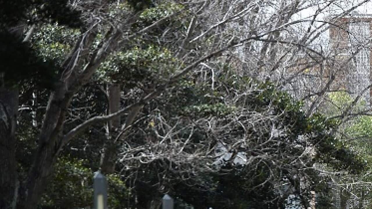 Image for read more article 'READ MORE'