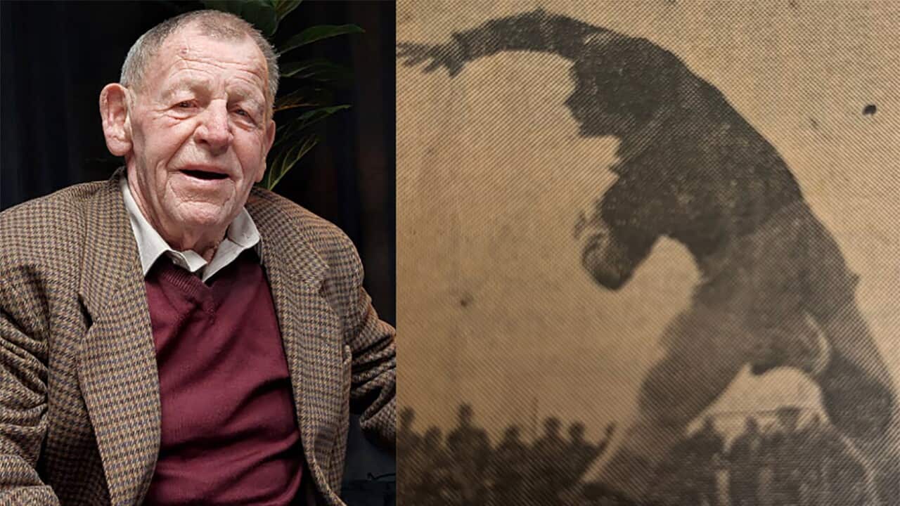 Φλέσσας Πέτρος- Φωτο Τερματοφύλακας collage.jpg