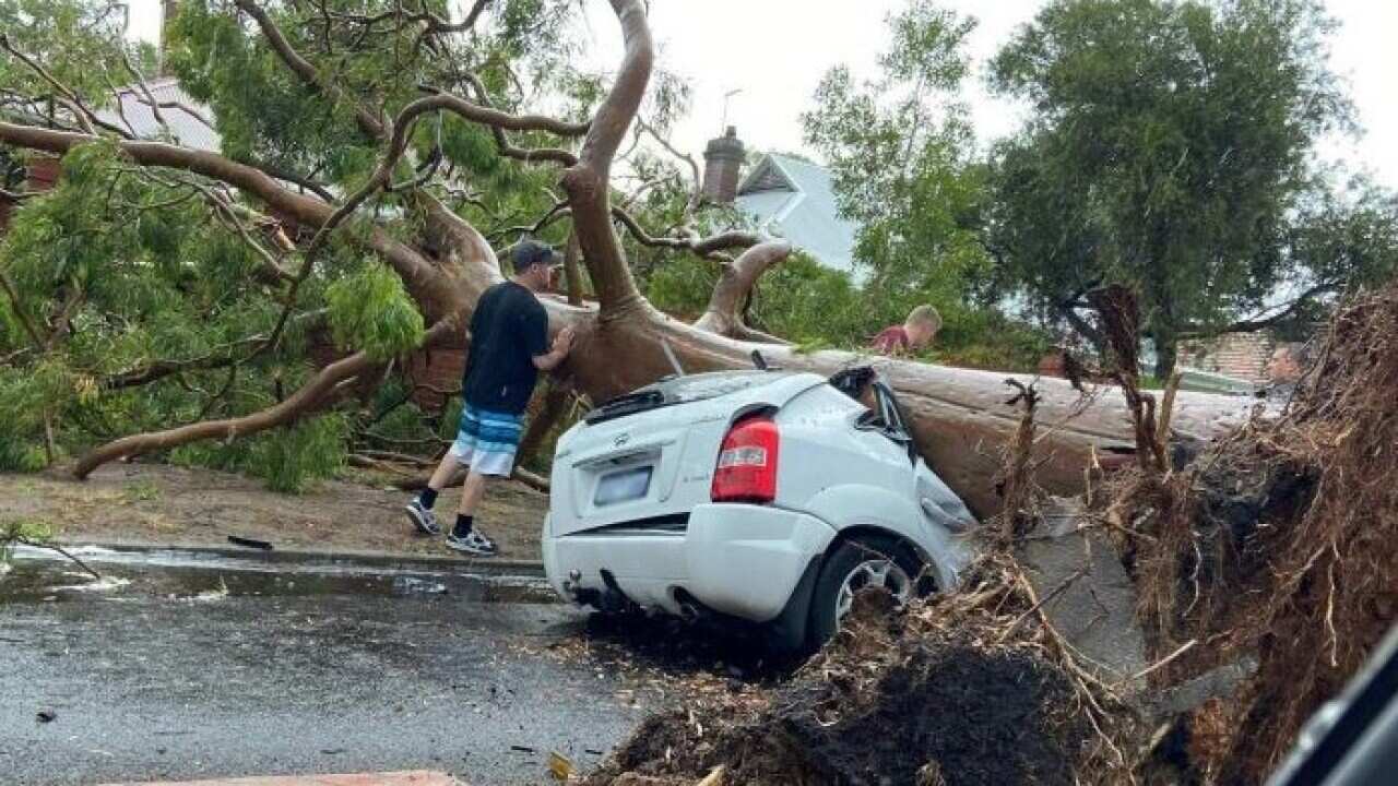 Image for read more article ''