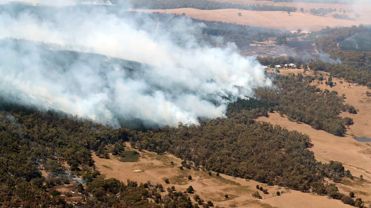 Image for read more article 'READ MORE'