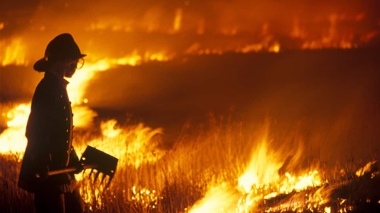 Firefighter