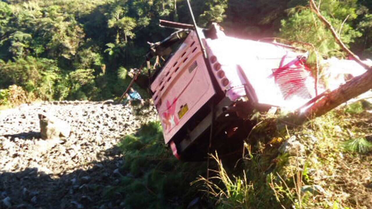 A bus lies next to a tree after falling into a ravine