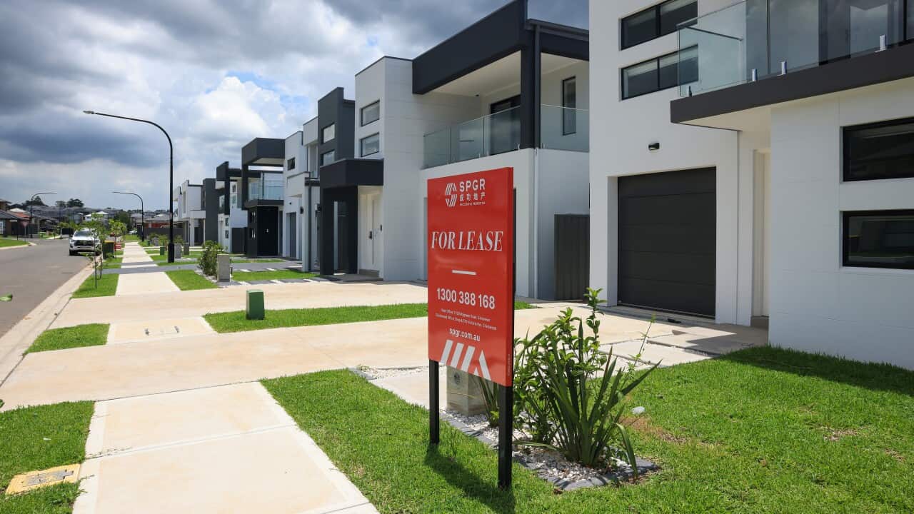 Image for read more article 'TE PUEDE INTERESAR:'