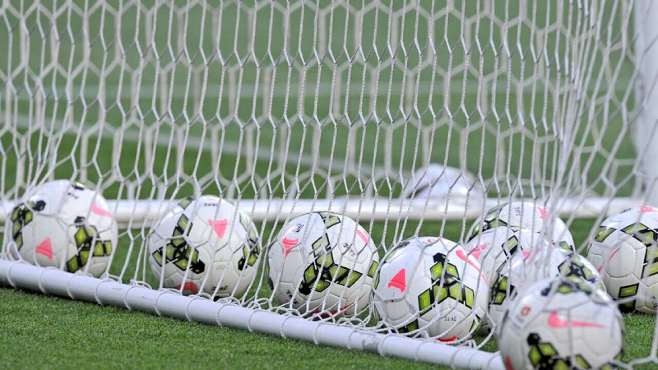 Soccer balls in a goal net