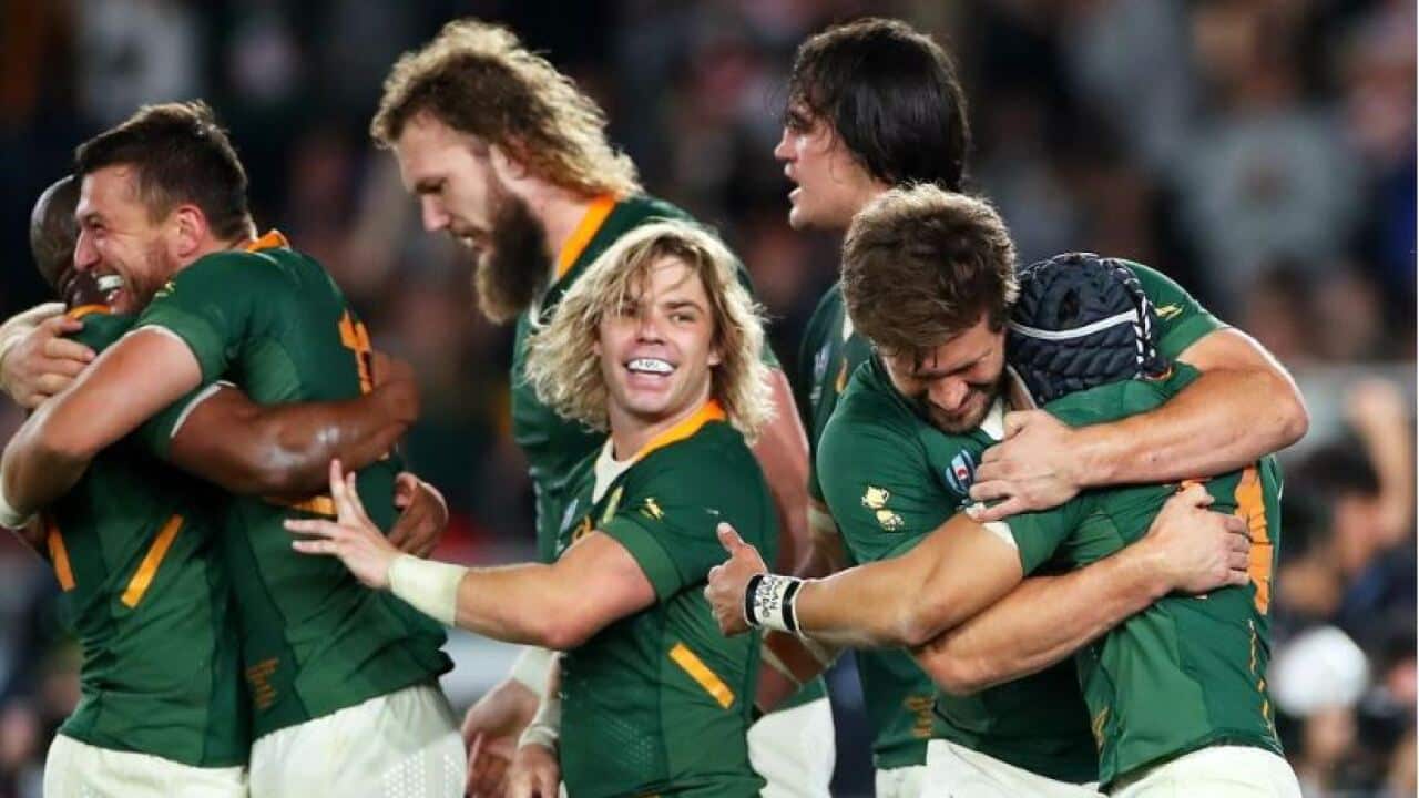 South africa rugby world cup 2019 japan