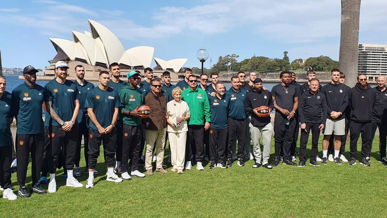 Partizan Panathinaikos Basketball Sydney