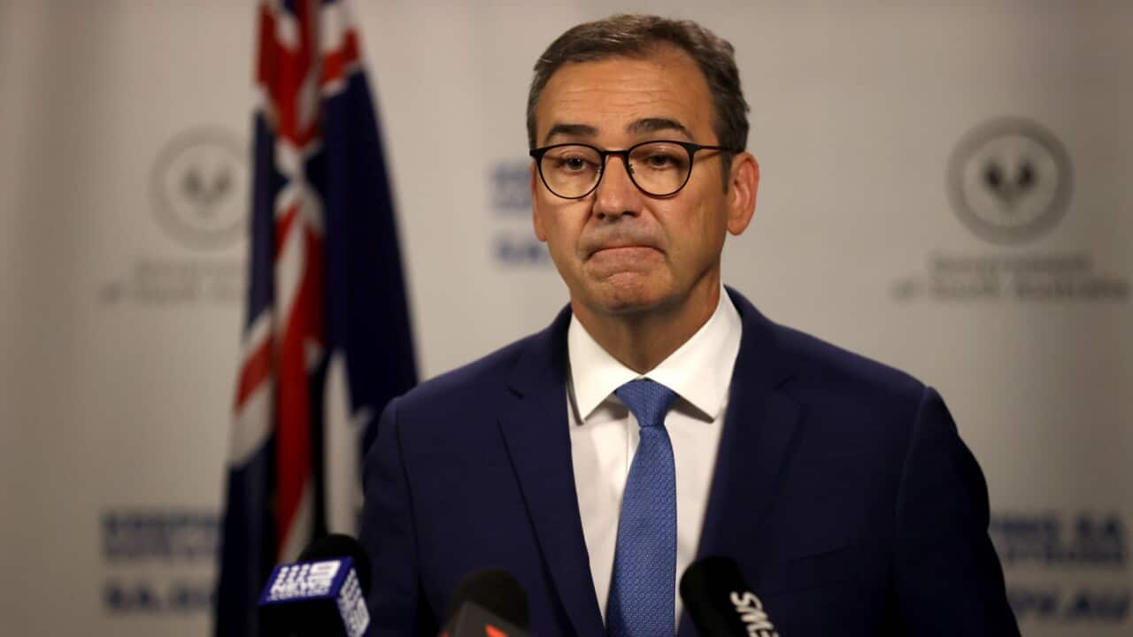 South Australian Premier Steven Marshall speaks at Covid-19 Daily update in Adelaide, Tuesday, November 17, 2020.