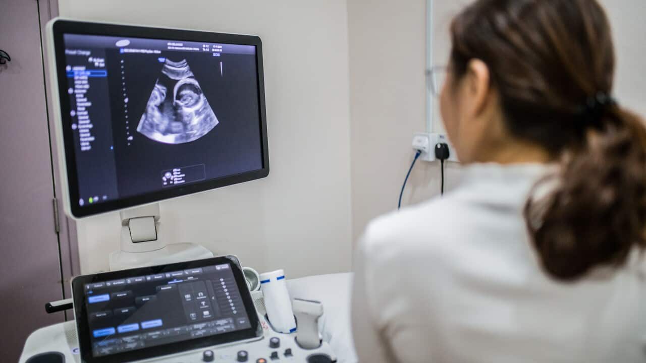 Image for read more article 'Abortion reform in this state is being hailed as a 'historic win'. Here's what has changed
'