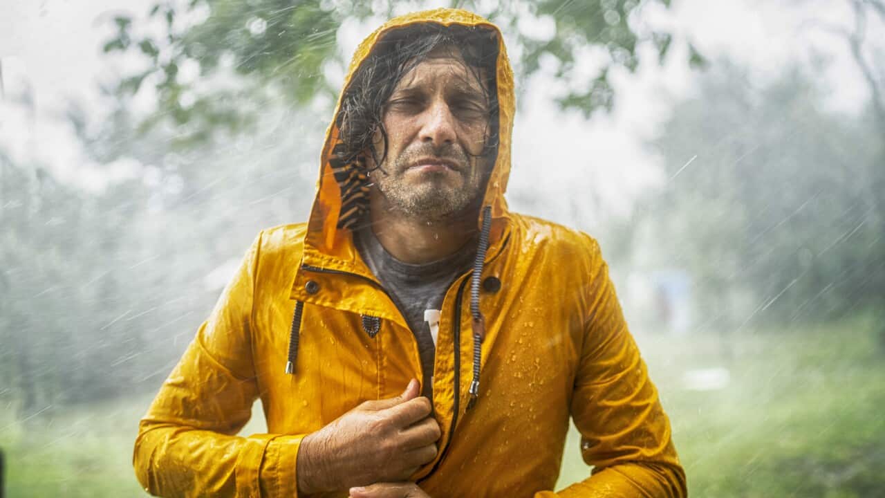 Rainy weather in forest