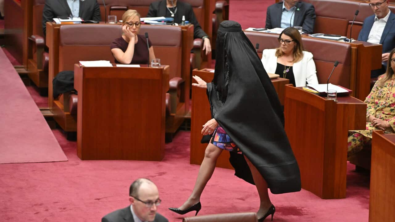 PAULINE HANSON BURQA SENATE