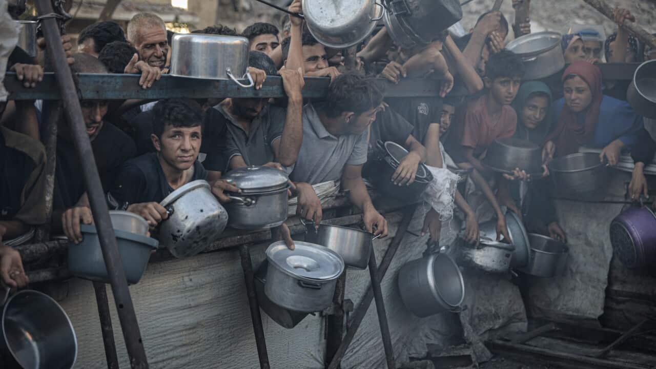 At least 20 killed in crowd crush at Gaza Humanitarian Foundation aid site At least 20 killed in crowd crush at Gaza Humanitarian Foundation aid site