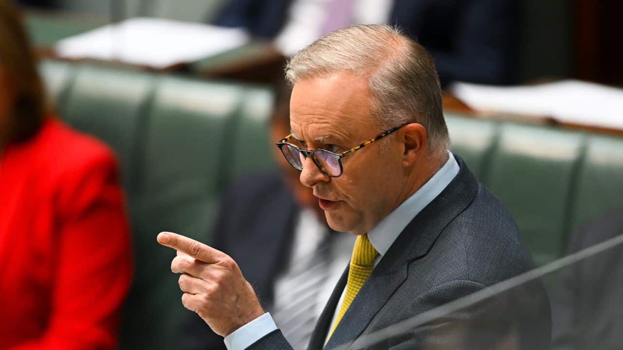 Prime Minister Anthony Albanese in Question Time (AAP).jpg