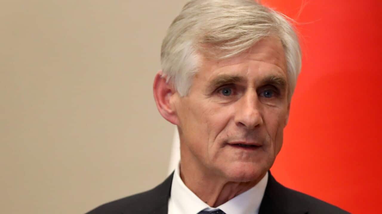 Homeland Report in Macedonian 19 November 2021,