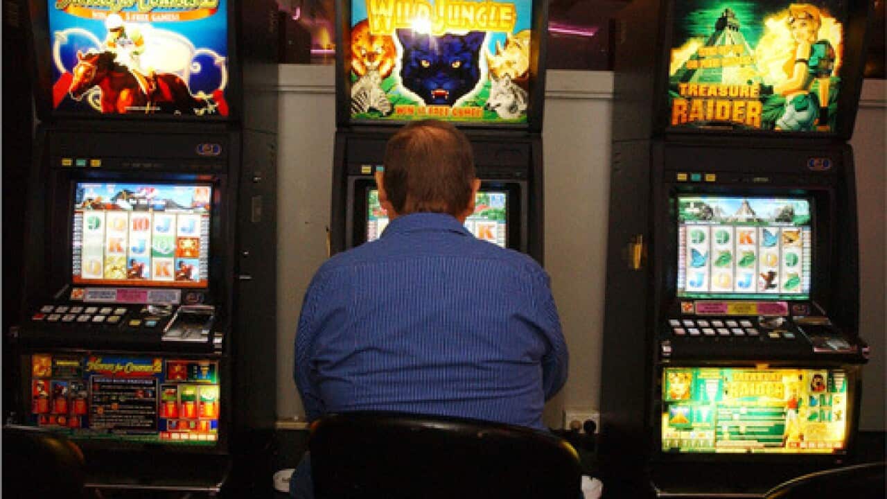 Poker Machine player in Sydney club