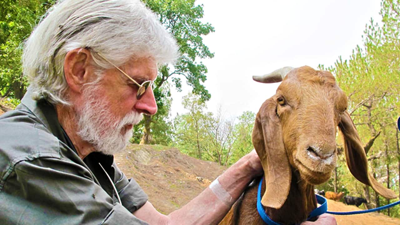 Sydney Veterinarian Dr Howard Ralph tenders a goat in Nepal