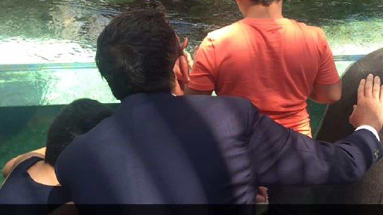 Image for read more article 'related reading'