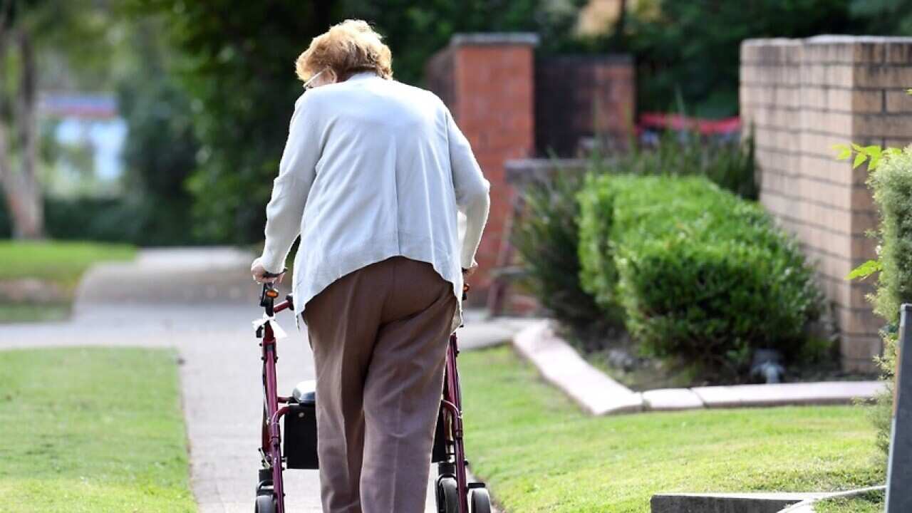 陳曙儀中醫師介紹分別以牛大力及骨碎補中藥煲湯，有助長者提神耐勞及強壯筋骨。