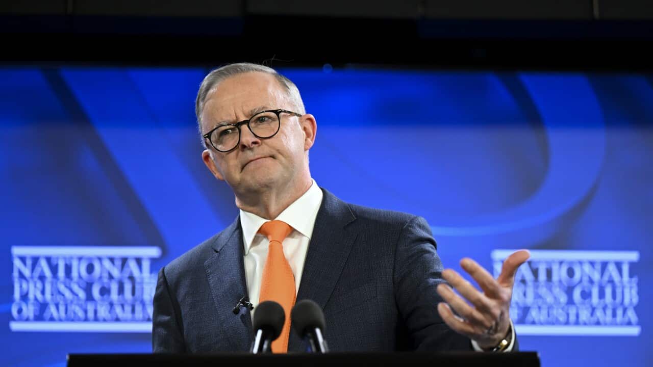 ANTHONY ALBANESE PRESS CLUB