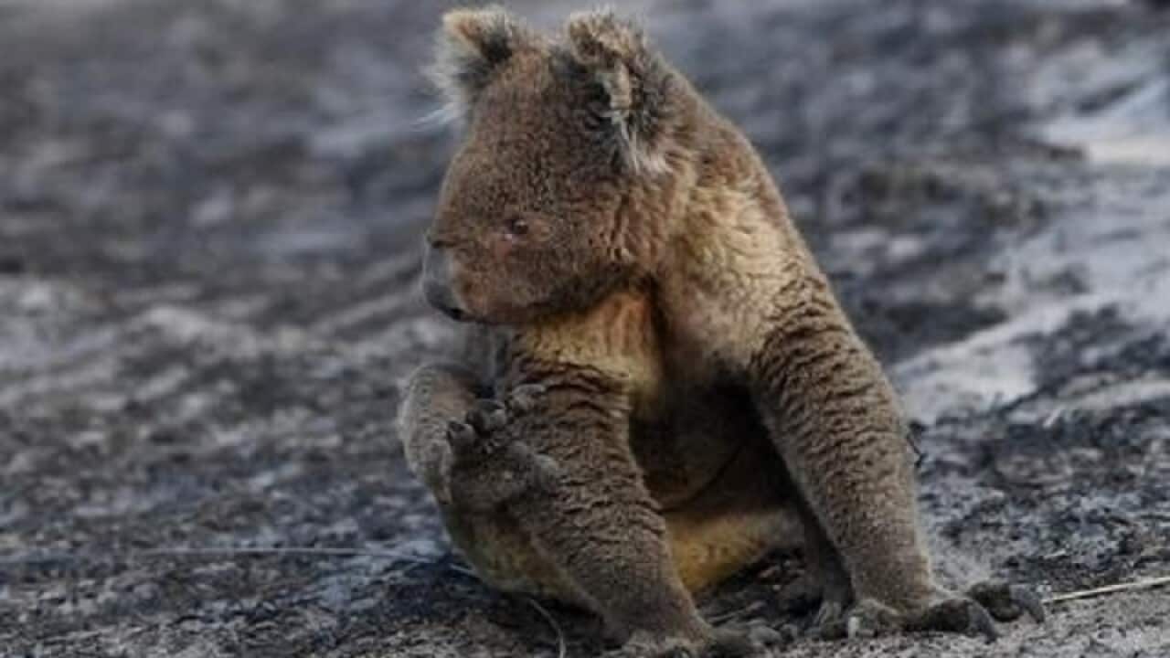 Image for read more article 'مطالب مرتبط:'