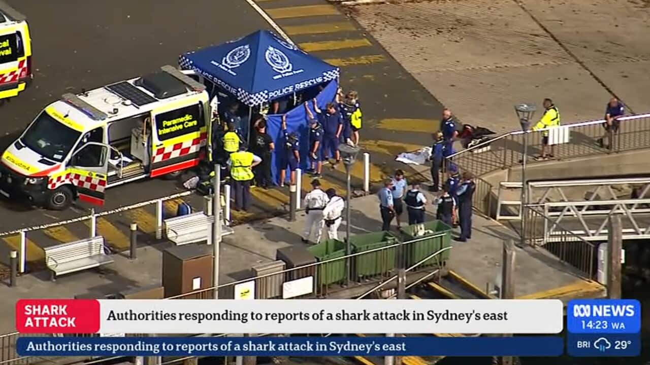 Image of ambulance and emergency tent set up at scene of shark attack