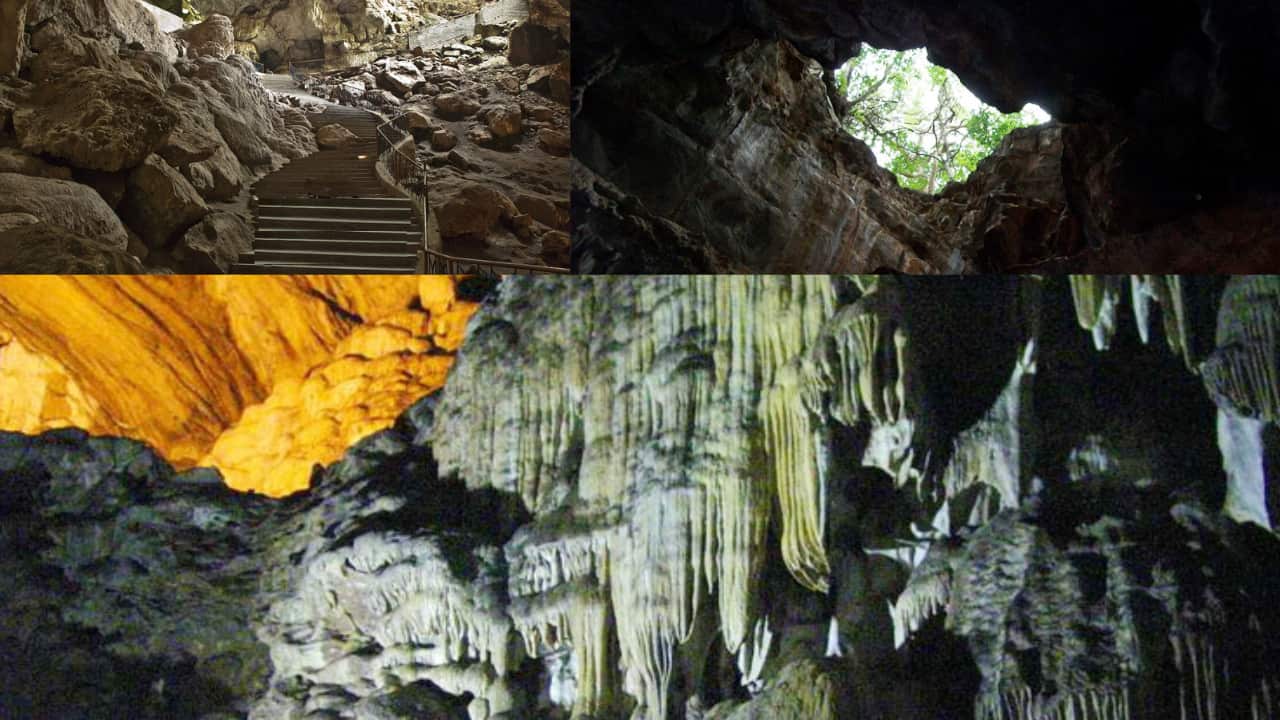 Araku .png