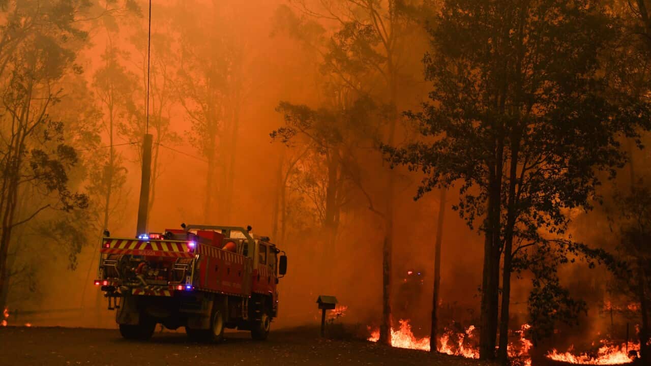 Fire trucks are seen during a bushfire in Werombi, 50km south west of Sydney, Friday, December 6, 2019. (AAP Image/Mick Tsikas) NO ARCHIVING