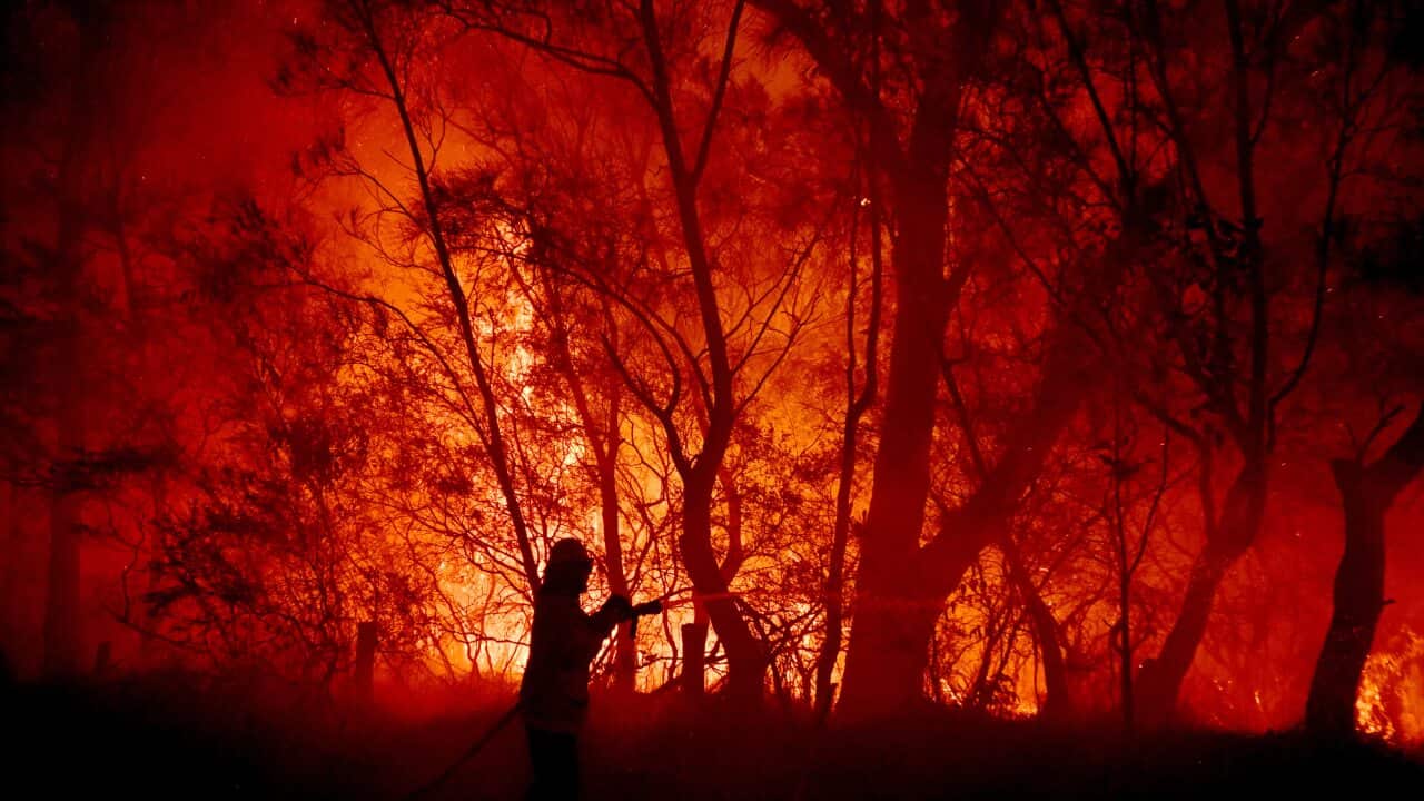 Image for read more article ''