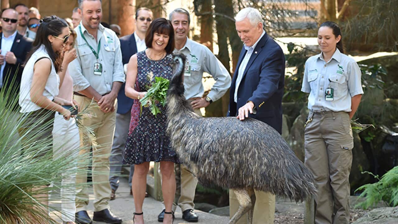 Emu