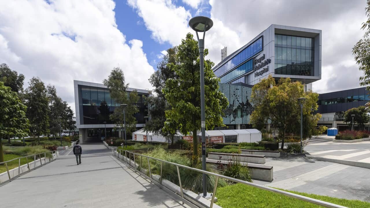 ROYAL ADELAIDE HOSPITAL STOCK