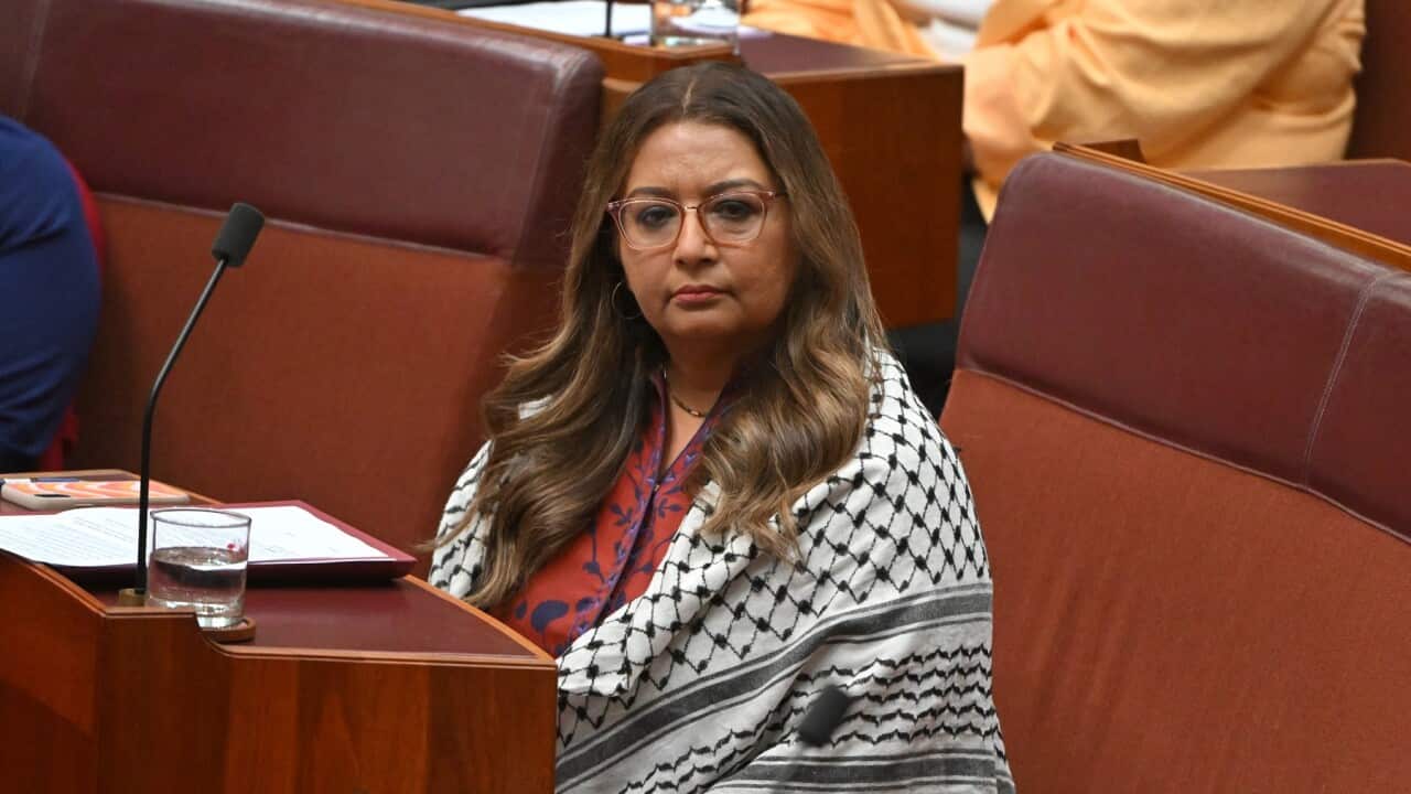 SENATE QUESTION TIME