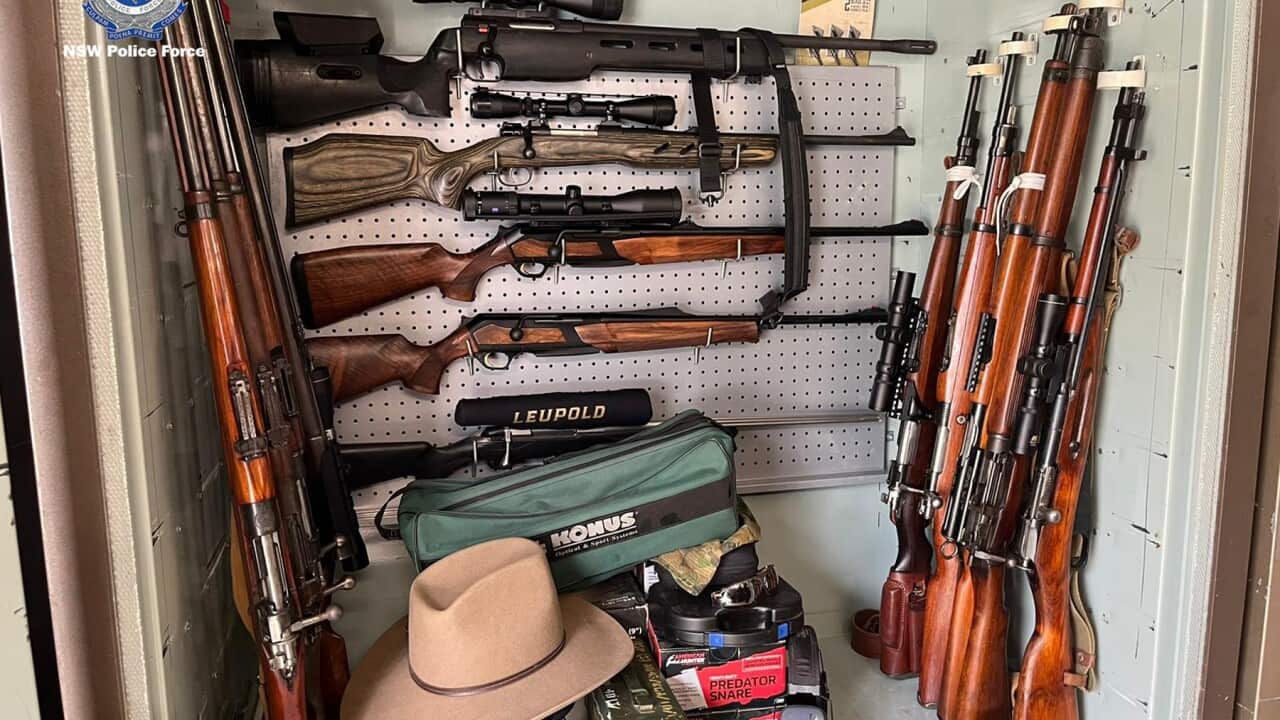NSW POLICE FIRARMS SEIZURE