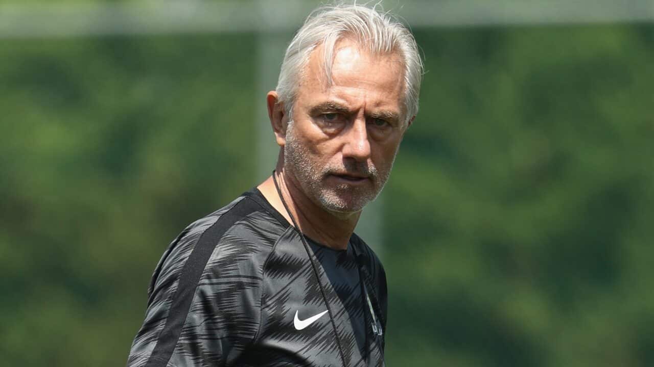 Socceroos Bert van Marwijk