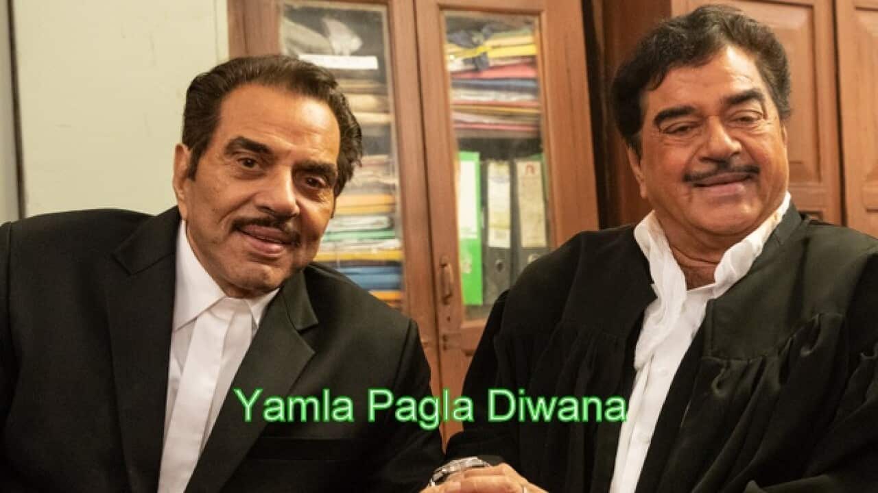 Image for read more article 'More from SBS Punjabi'