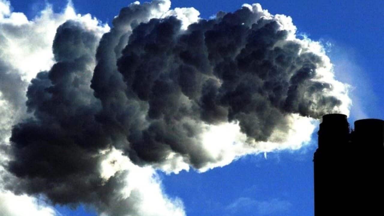 In its annual bulletin, the WMO also warned of a resurgence in a potent greenhouse gas.