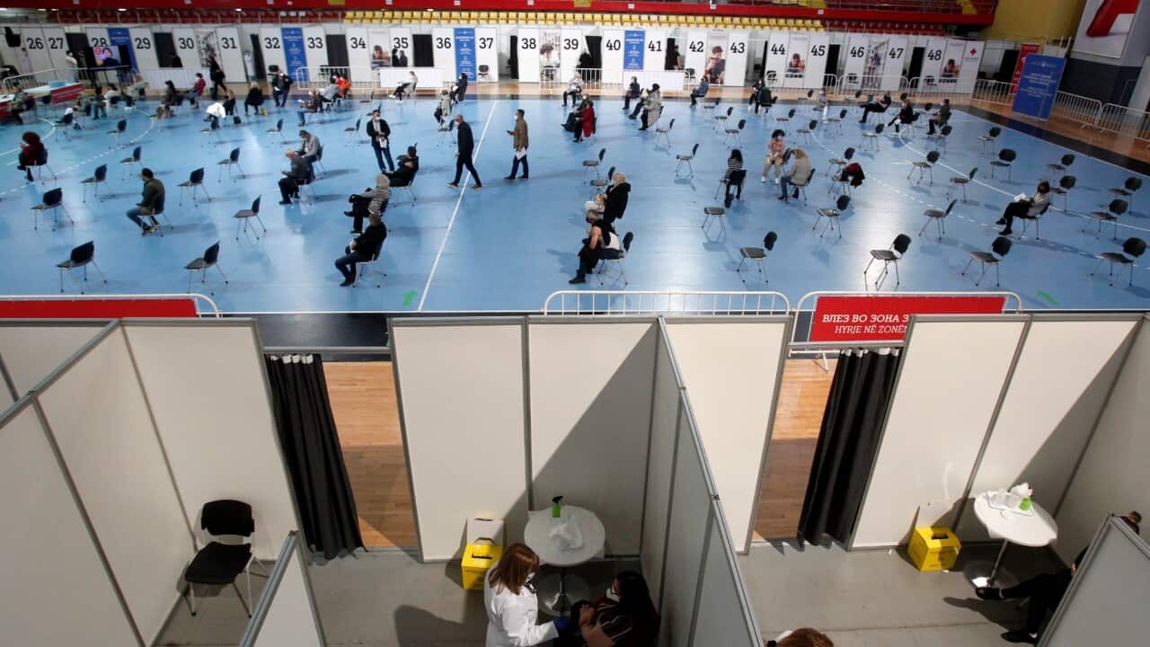 Homeland Report in Macedonian 14 February 2022,