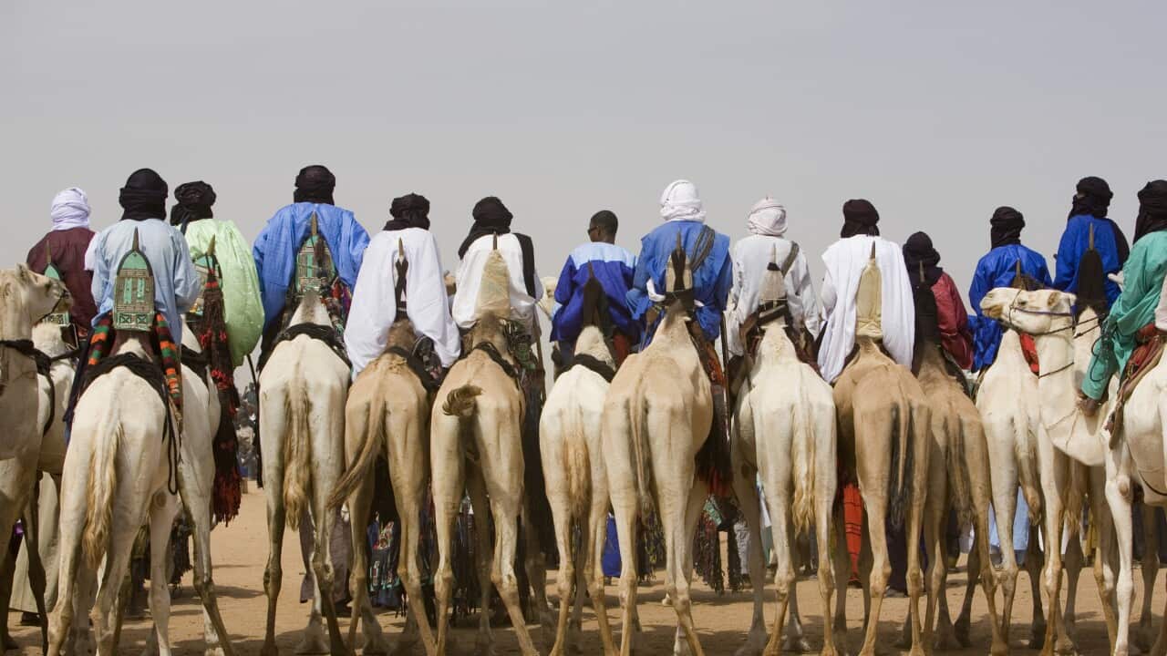 Image for read more article 'READ MORE'