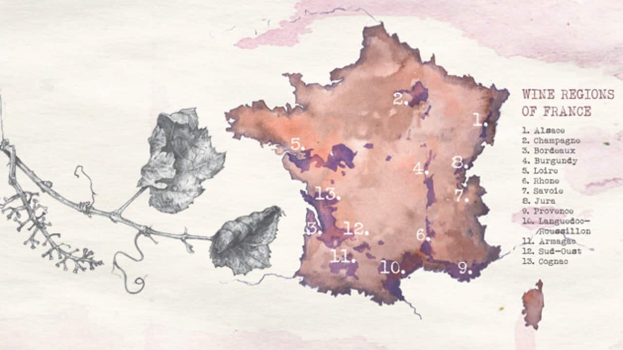 Fiveminute French wine region guide SBS Food